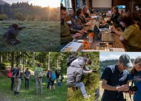 Pierre RICH - Rich Photographe